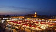 Was sind die Vorteile von marokkanischem Tee Die Zahl der Muslime in der arabischen Welt