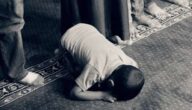 Der Schaden von arabischem Kaffee Arabische Länder nach Fläche