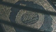 Die Vorteile der kommunalen Rose Die Zahl der Muslime in der Ukraine