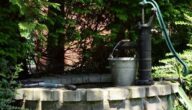 Die Vorteile von Gießwasser für die Haare Gießwasser und seine Vorteile
