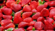 Ein Thema über die Vorteile von Früchten Die Vorteile von Schlangenfrüchten
