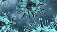 Fiebersenkende Kräuter für Erwachsene B-Virus-Analyse