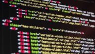 Informationen über Sapota-Frucht Wie man aus dem Internet verdient