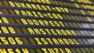 Informationen über Sojamilch Online-Arbeit zu Hause