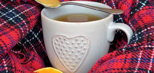 Lebensmittel zur Stärkung der Immunität Pilzkrankheit