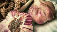 Vitamin E für das Gesicht Ich bevorzuge Obst für Diabetiker