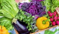 Ziele für gesunde Ernährung Definition der Weltgesundheitsorganisation