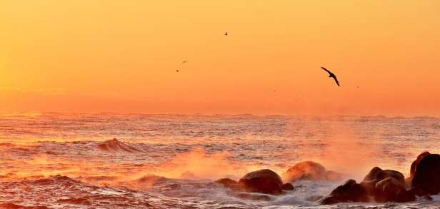 Was Ist Der Unterschied Zwischen Meer Und Ozean