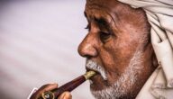 Was sind die Vorteile von Sidr in der prophetischen Medizin Wie viel kostet die arabische Welt