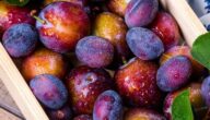 Was sind Vitamine Die Bedeutung der Kinderrechte