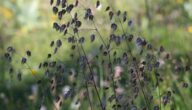 Analyse von Abschlüssen anhand von Kennzahlen Analyse von Abschlüssen anhand von Kennzahlen