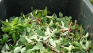 Bedeutung des Abfallrecyclings Bedeutung des Abfallrecyclings