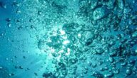 Blaues Wasser im Auge Wie man Rosenwasser für die Haut verwendet