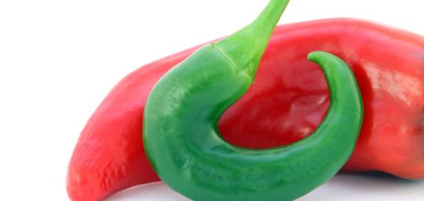 Cellulite in den Oberschenkeln loswerden Cellulite in den Oberschenkeln loswerden