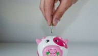 Das Konzept des einfachen Interesses Das Konzept des einfachen Interesses