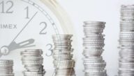 Die Entwicklung und Bedeutung der Finanzbuchhaltung Die Entwicklung und Bedeutung der Finanzbuchhaltung
