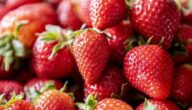 Die Geschichte des Erdbeerverkäufers Im FIT-Test: Zehn Erdbeermarmeladen