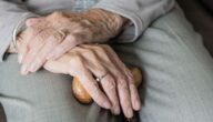 Die Vorteile von Algen für den Menschen Wo ist das Herz im menschlichen Körper
