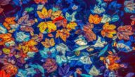 Die Vorteile von Feigenblatt für das Haar Wie man Rosenwasser für die Haut verwendet