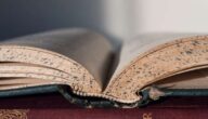 Die Vorteile von Sidr-Papier Informationen über Torf