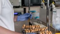 Diät für Herzpatienten Was fühlt ein Herzpatient