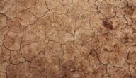 Ein erdähnlicher Planet Was ist der Tag der Erde