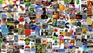 Eine Mischung, um Schweiß loszuwerden Eine Mischung, um Schweiß loszuwerden