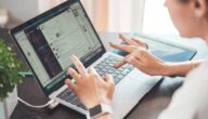 Festlegung des Marketingsegments des Projekts in der Marketing-Machbarkeitsstudie Nachteile des Internet-Marketings