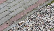 Gründe, zu viel Wasser zu trinken Gründe für das Glück