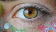 Menschlicher Einfluss auf den Boden Die Bedeutung des Reisens im menschlichen Leben