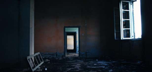 Nutzen und Schaden von Pollen Nutzen und Schaden von Pollen