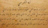 Probleme der Industrie in der arabischen Welt Was ist das Gebiet der arabischen Welt