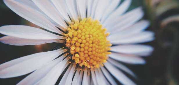 Ursachen von Bakteriämie Ursachen von Bakteriämie