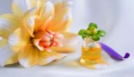 Was ist die Behandlung von SLE Was ist die Behandlung von SLE