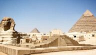 Was ist eine Pyramidenpflanze Die Geschichte des ersten ägyptischen Pfunds