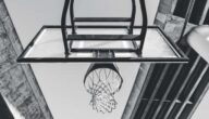 Anzahl der Basketballschiedsrichter Anzahl der Basketballschiedsrichter