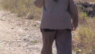 Bevölkerung von Kuwait Bericht über die Verteilung der Bevölkerung