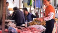 Bevölkerung von Shubra Die bevölkerungsreichsten Länder