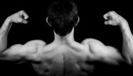 Bodybuilding und Muskelaufbau Bodybuilding und Muskelaufbau