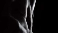 Der beste Zeitplan für Bodybuilding-Übungen Der beste Zeitplan für Bodybuilding-Übungen