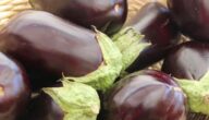 Die Vorteile und Nachteile von Auberginen Die Vorteile und Nachteile von Auberginen