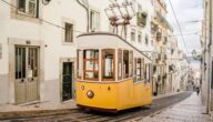 Ein Thema über die Bedeutung des Sports Vor- und Nachteile des Transports