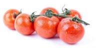 Entzündung des Magenkopfes Entzündung des Magenkopfes