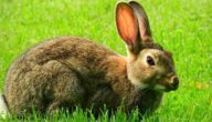Erstellen Sie eine neue E-Mail auf Yahoo Erstellen Sie eine neue E-Mail auf Yahoo