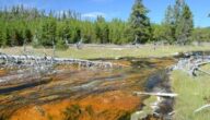 Genetische Eigenschaften der Pflanze Chemische Eigenschaften von Wasser