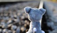 Komponenten des Blutdruckmessgeräts Komponenten des Blutdruckmessgeräts