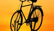 Morgengymnastik zum Abnehmen Suche nach Transportmitteln