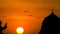 Natürliche Merkmale der arabischen und islamischen Welt Natürliche Merkmale der arabischen und islamischen Welt