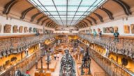 Prähistorische Denkmäler Dimensionen des Sportunterrichts