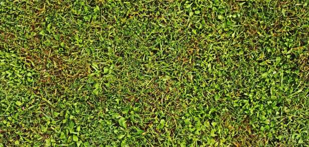 Sportarten für Kinder zu Hause Sportarten für Kinder zu Hause